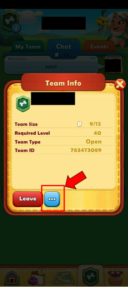 Team info screen. It includes data like the name of the team, size, required level, etc. There's a red button labeled "Leave" , and next to it, a blue button with three dots, which is highlighted
